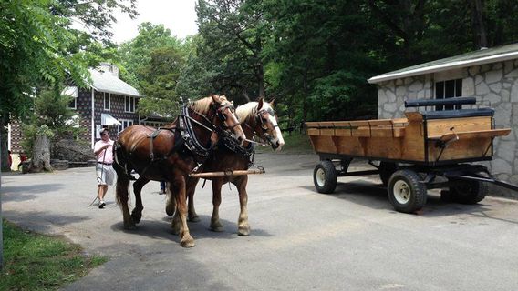 Kentucky Down Under Adventure Zoo