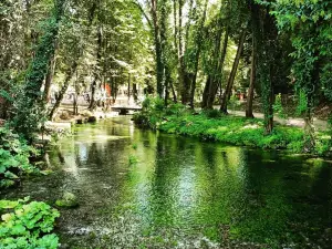 Il bosco delle favole