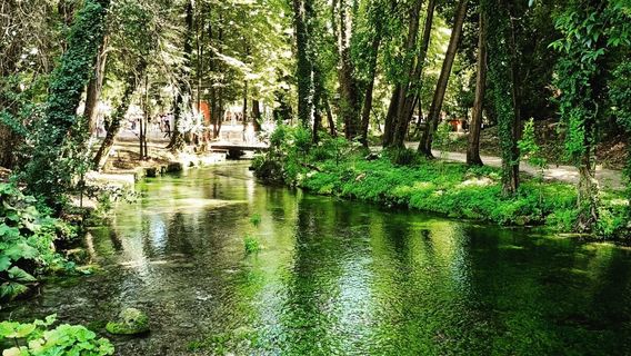 Il bosco delle favole