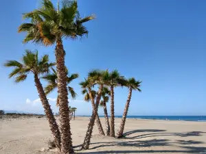 Platja De Canet d'en Berenguer