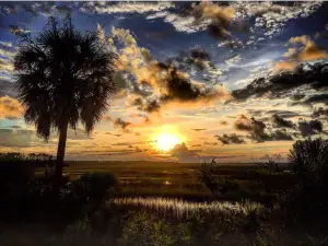 Laurel Island Links