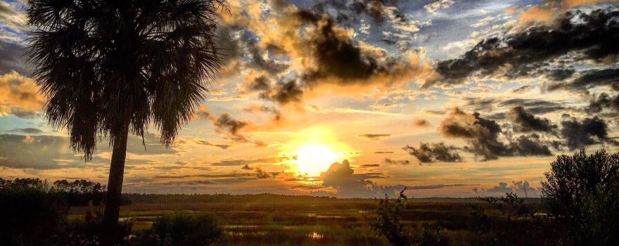 Laurel Island Links