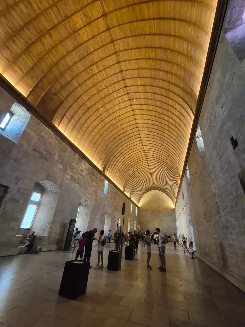 4_Palais des Papes