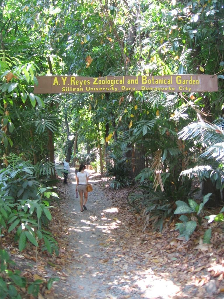 Center for Tropical Studies (CENTROP)