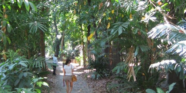 Center for Tropical Studies (CENTROP)