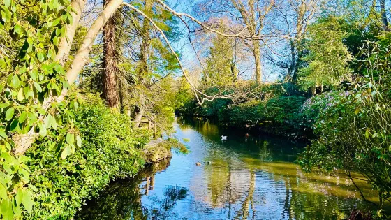 Johnstone Gardens
