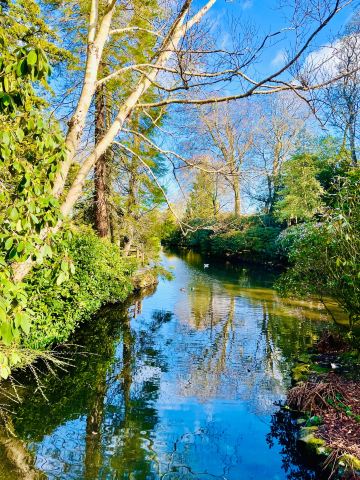 Johnston Gardens