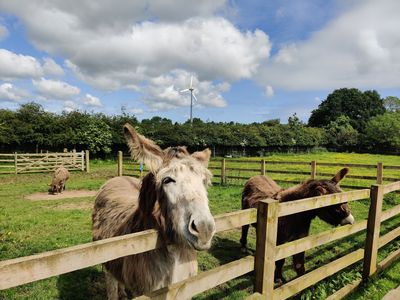 Newham Grange Farm