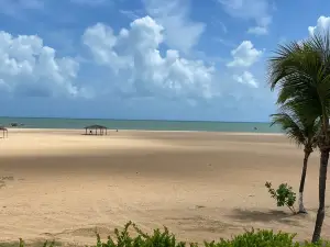 Xepa the beach