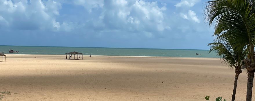 Xepa the beach