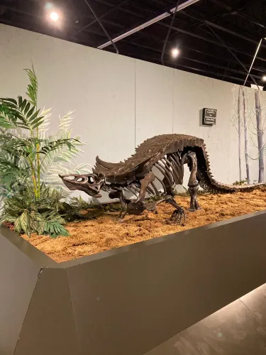 Mesalands Community College's Dinosaur Museum