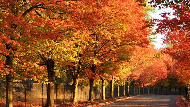 Gene Coulon Memorial Beach Park