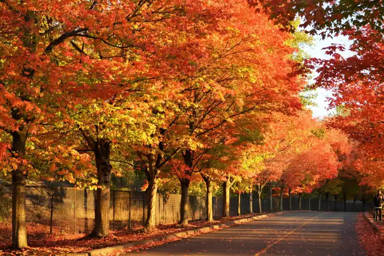 Hotels near Gene Coulon Memorial Beach Park