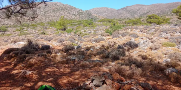 The Ancient City Lissos