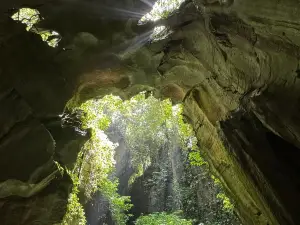 Bat Cave Bukit Lawang