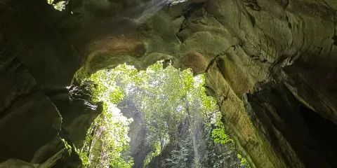 Bat Cave