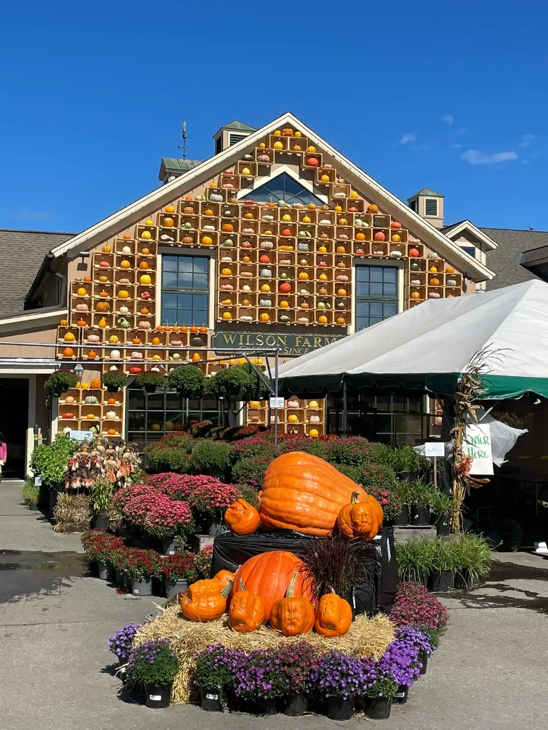 Hotels near Wilson Farm Inc