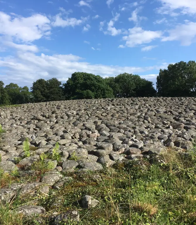 Simrishamn N