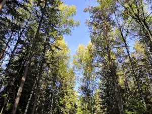 Kharinka, Park Kul'tury I Otdykha