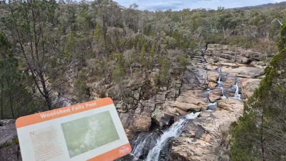 Woolshed Waterfalls
