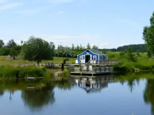 Ellis Bird Farm
