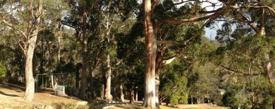 Waterworks Reserve