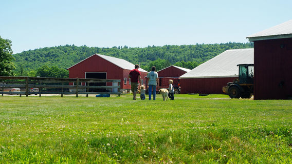 Sullivan County