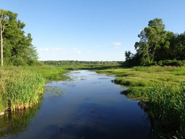 Grass Lake Charter Township