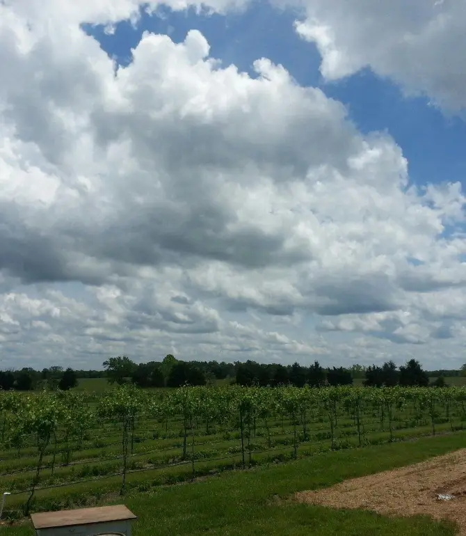 Canaan Township