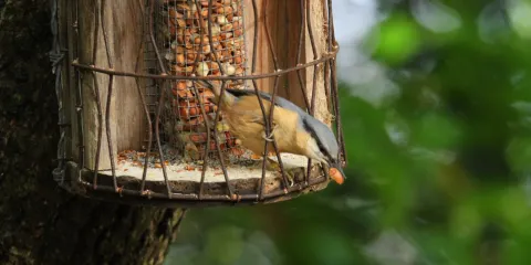 Chard Reservoir （disused）