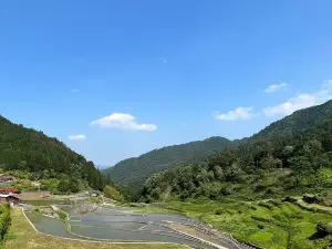 Ini Rice Terraces