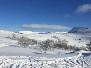 Rauland Skisenter