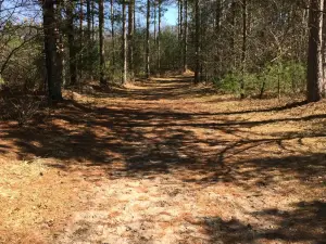Tower Ridge Recreation Area