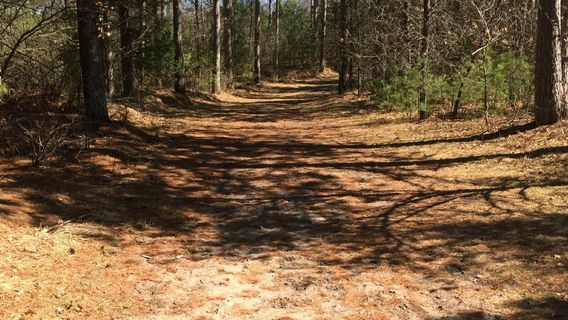 Tower Ridge Recreation Area