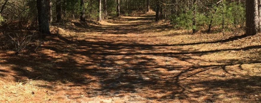 Tower Ridge Recreational Area