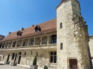 Château de Nérac