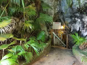 Cathedral Cave