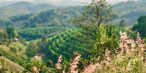 ATV Chiangrai Ruammit1小時獨木舟體驗大小同價