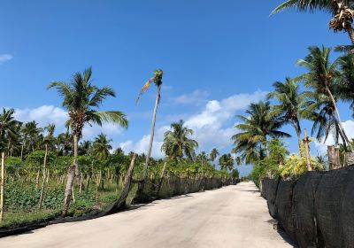 Alif Alif Atoll