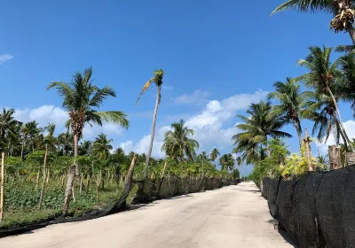 Alif Alif Atoll