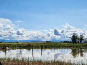 Ocean Lake