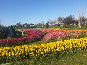 100th Anniversary Park