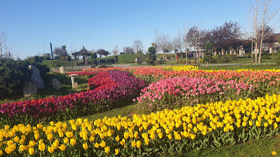 100th Anniversary Park