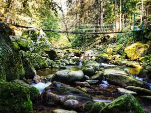 Wildbachklamm Buchberger Leite Parkplatz Carbidwerk
