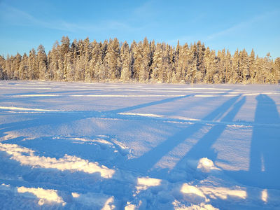 Polar Lights Tours