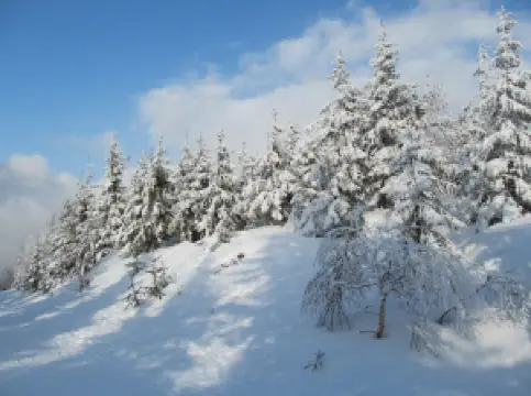 Ski-lift - Hanč Sport Club Benecko