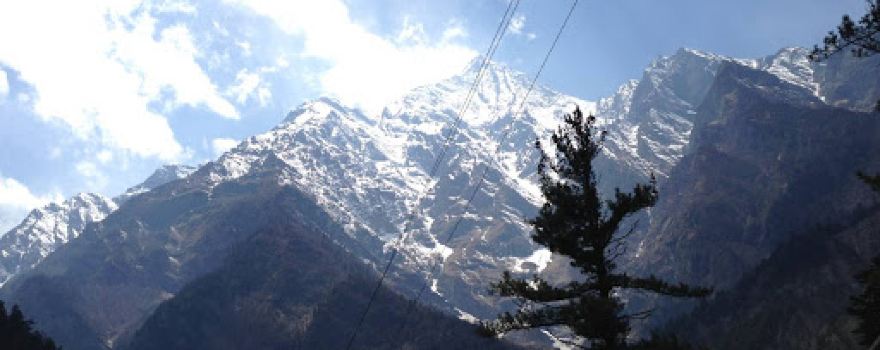 Pisang Himal