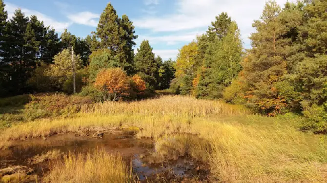 Beach Grove Nature Trails