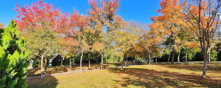 80. Yıl Parkı