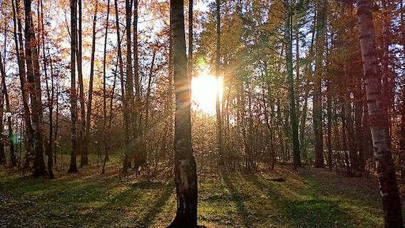 Park Im. Revolyutsii 1905G.